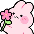 jakiFLOWER