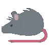 rat_3D
