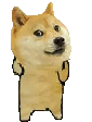 tier_dgo_dance