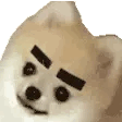 tier_eyebrows