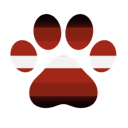 criminal minds trans criminal minds trans