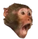Monkey Pog Discord Emoji