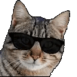 tier_catcool