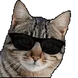 tier_catcool
