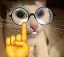 NekoWithGlasses