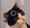 NekoLoad Discord Emoji