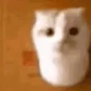 supersillicat