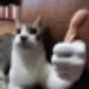emoji_77 emoji_77