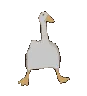 DefaultGoose