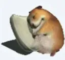 zzzzzzz