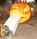 pumpkinblunt