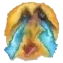 sorb