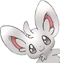 minccino_owo