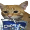 Sipping