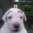 what