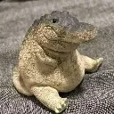 fellow
