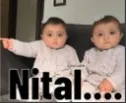 t_Nital t_Nital