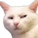 t_heeh