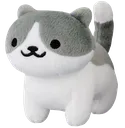 kiwismokecat