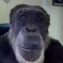 Chupapi