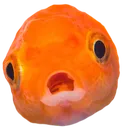 gasp