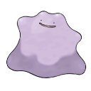 ditto ditto