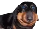 erm