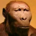 h_bruh