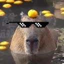 MAZE_Capybara1