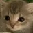 tiny