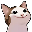 cat_popani
