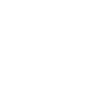 vaio
