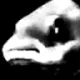 fishDespair