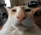 guh Discord emoji