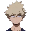 bakugochoqued