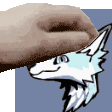 pet