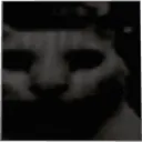 uncannycat