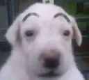 waos