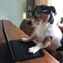 SpikeWorking