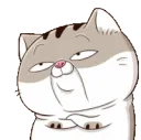 kat_01