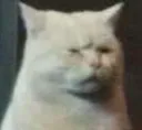 c_eww