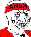 AMDumb