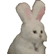 YES