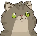 popcat_Anko