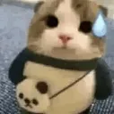 erm