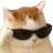 Coolboi Coolboi