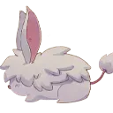 cottontail