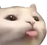 catblep