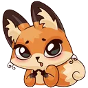 foxshy