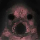 707dbf907d662a03b369aa3e178296c5